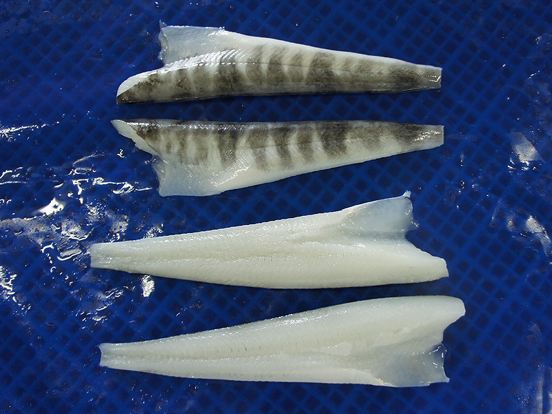 ICEFISH SKIN-ON FILLETS PBI, PBO
