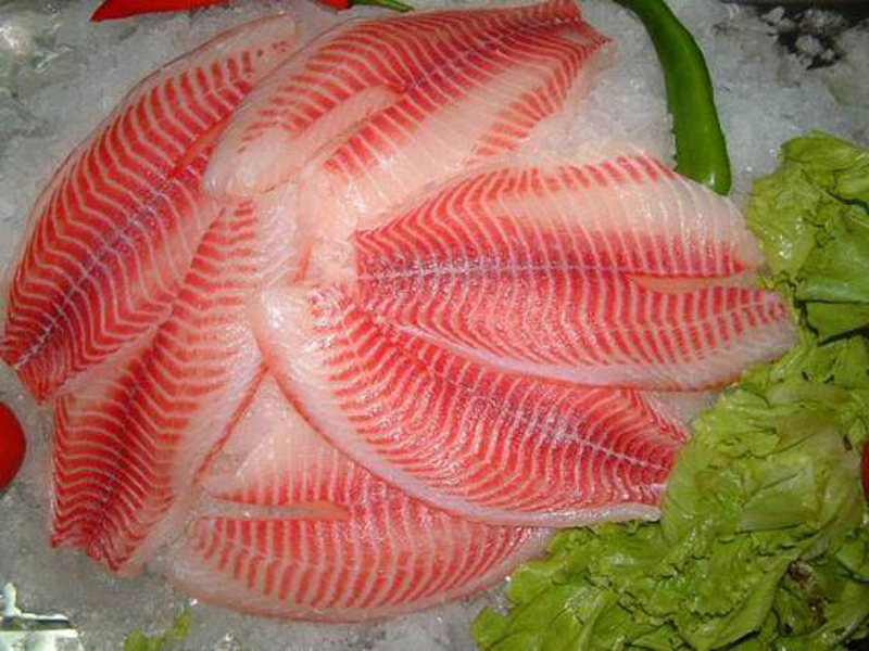 TILAPIA IZUMI DAY